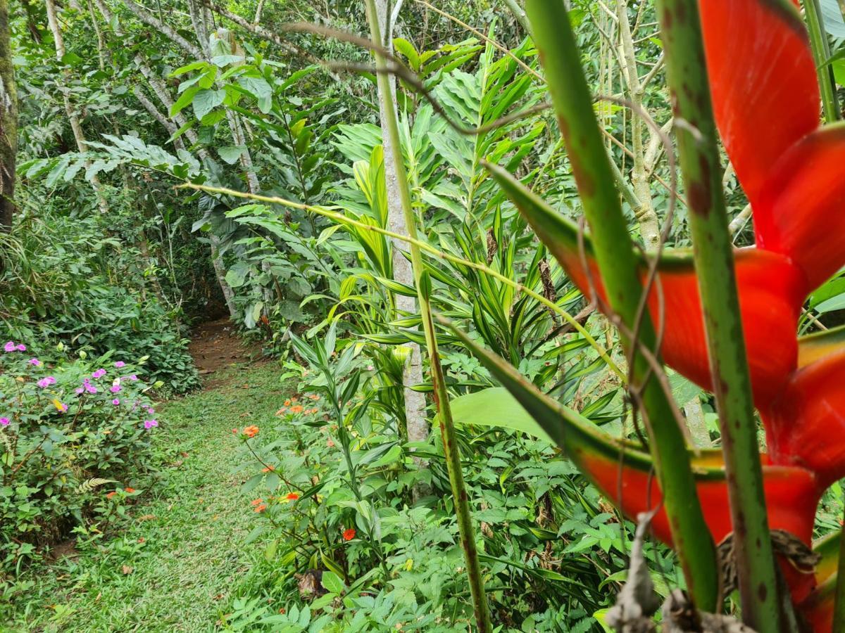 Cabana Maquique - San Vito Villa San Ramon  Kültér fotó