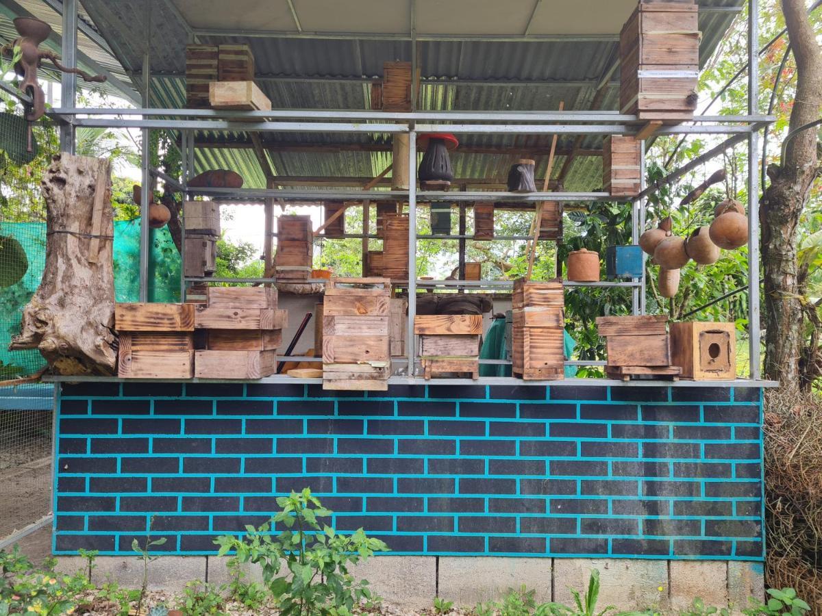 Cabana Maquique - San Vito Villa San Ramon  Kültér fotó