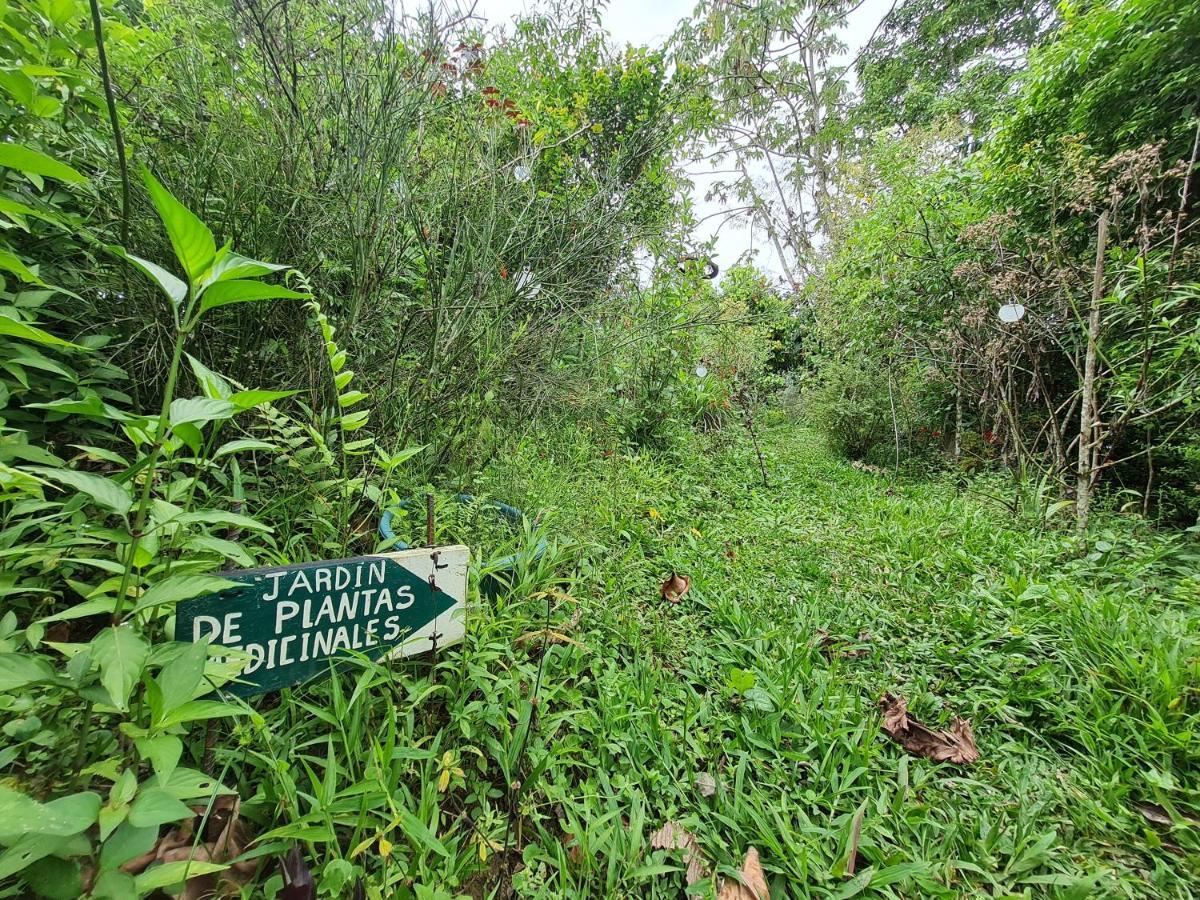 Cabana Maquique - San Vito Villa San Ramon  Kültér fotó